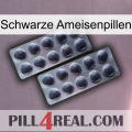Black Ant Pills 31